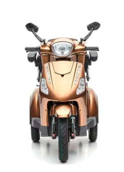 Best BADER Akku-Trike, 3-Rad braun