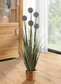 Sale BADER Allium-Gesteck im Topf LILA-GRÜN