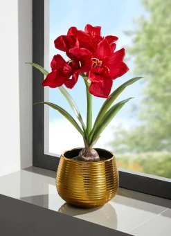Online BADER Amaryllis-Gesteck in goldenem Topf ROT-GRÜN-GOLD
