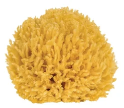 Discount BADER Badeschwamm aus natürlichem Material NATUR