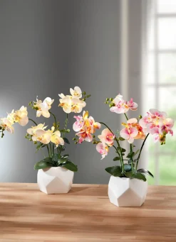 Discount BADER Beleuchtete Orchidee im Topf