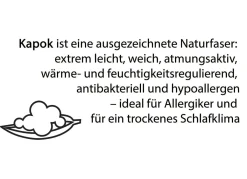 New IRISETTE Bettwarenprogramm von mit Kapok-Fasern WEISS