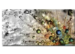 Outlet BADER Bild Wassertropfen auf einer Pusteblume GRAU