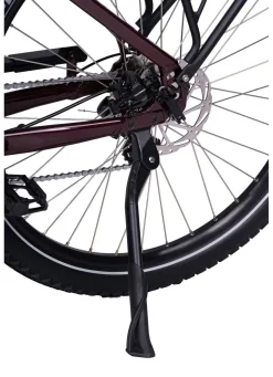 Best BADER E-Bike Deluxe SUV Easy BURGUND-GLANZ