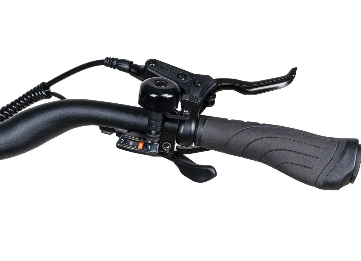 Clearance BADER E-Trekking-Bike X-Road 5.2 von SAXONETTE SILBER