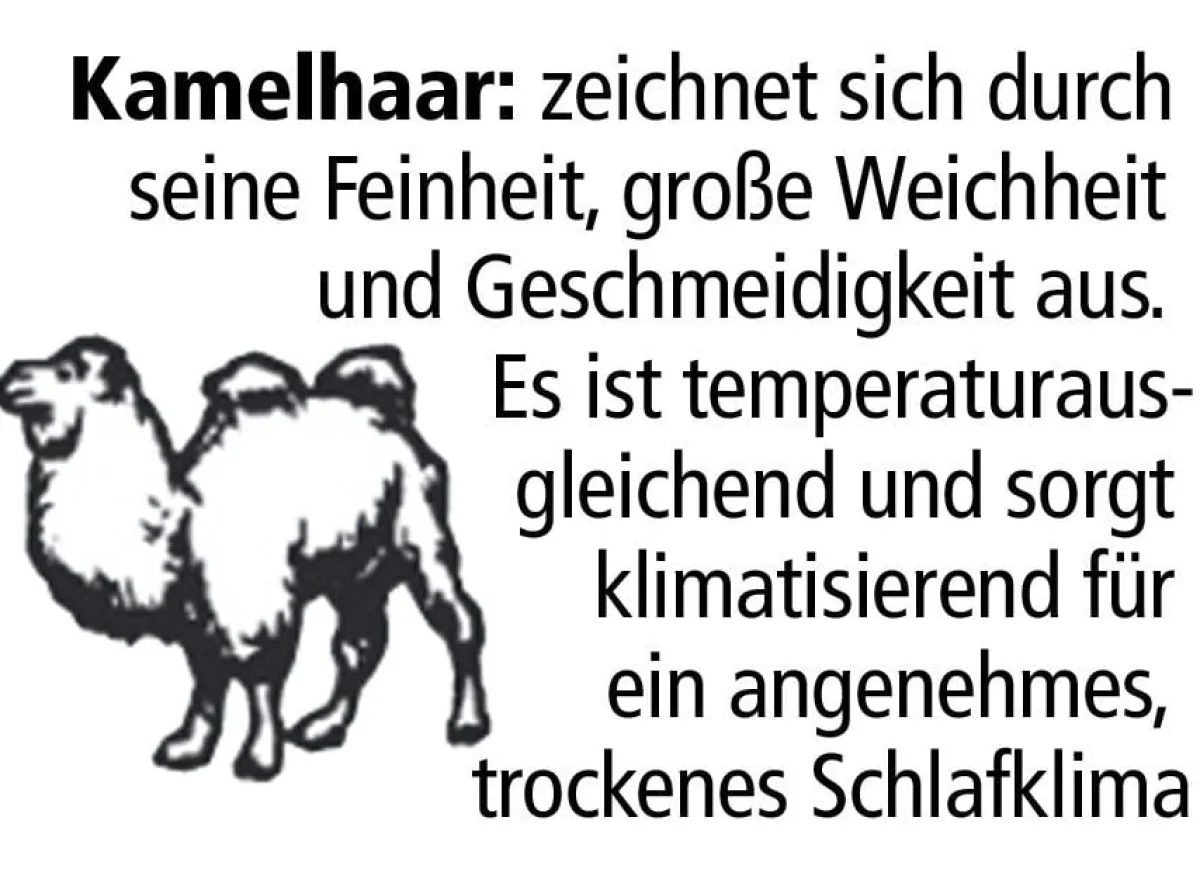 Best BADER F.a.n.-Bettwarenprogramm mit feinsten und hochwertigen Edelhaaren NATUR