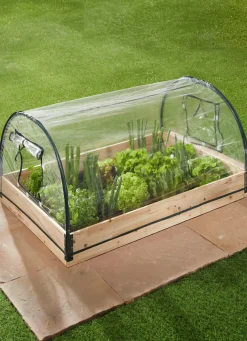BADER Frühbeet mit 2 aufrollbaren Fenstern TRANSPARENT