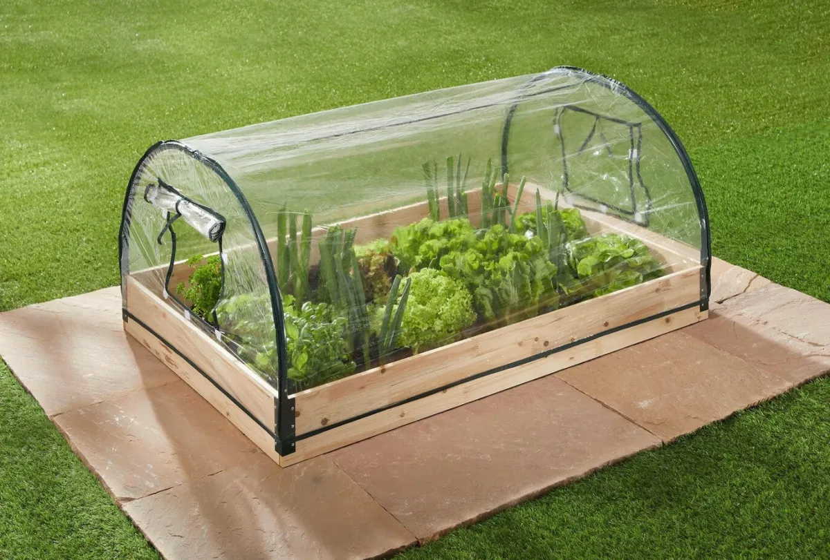 BADER Frühbeet mit 2 aufrollbaren Fenstern TRANSPARENT