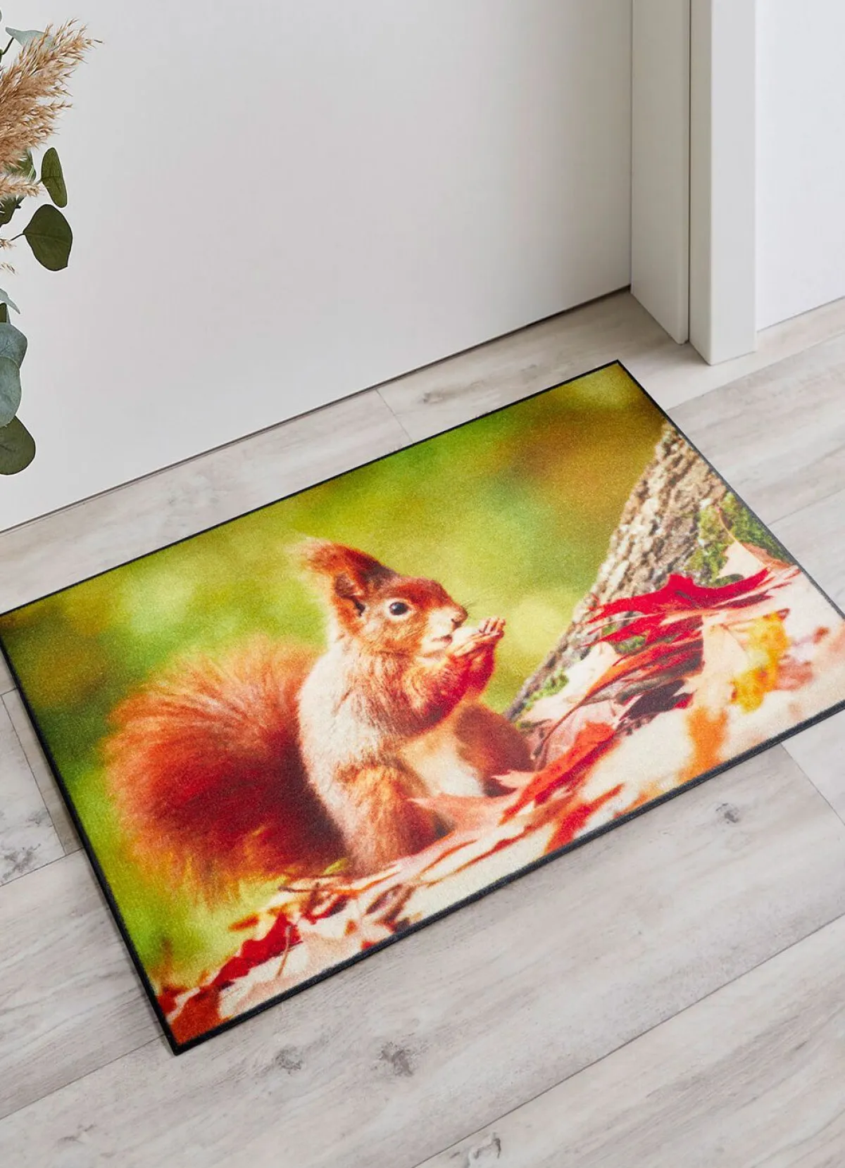 Outlet BADER Fußmatte mit Eichhörnchen-Motiv BUNT