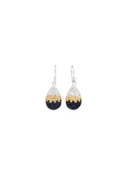 BADER Funkelnde Ohrhaken mit Swarovski-Elements