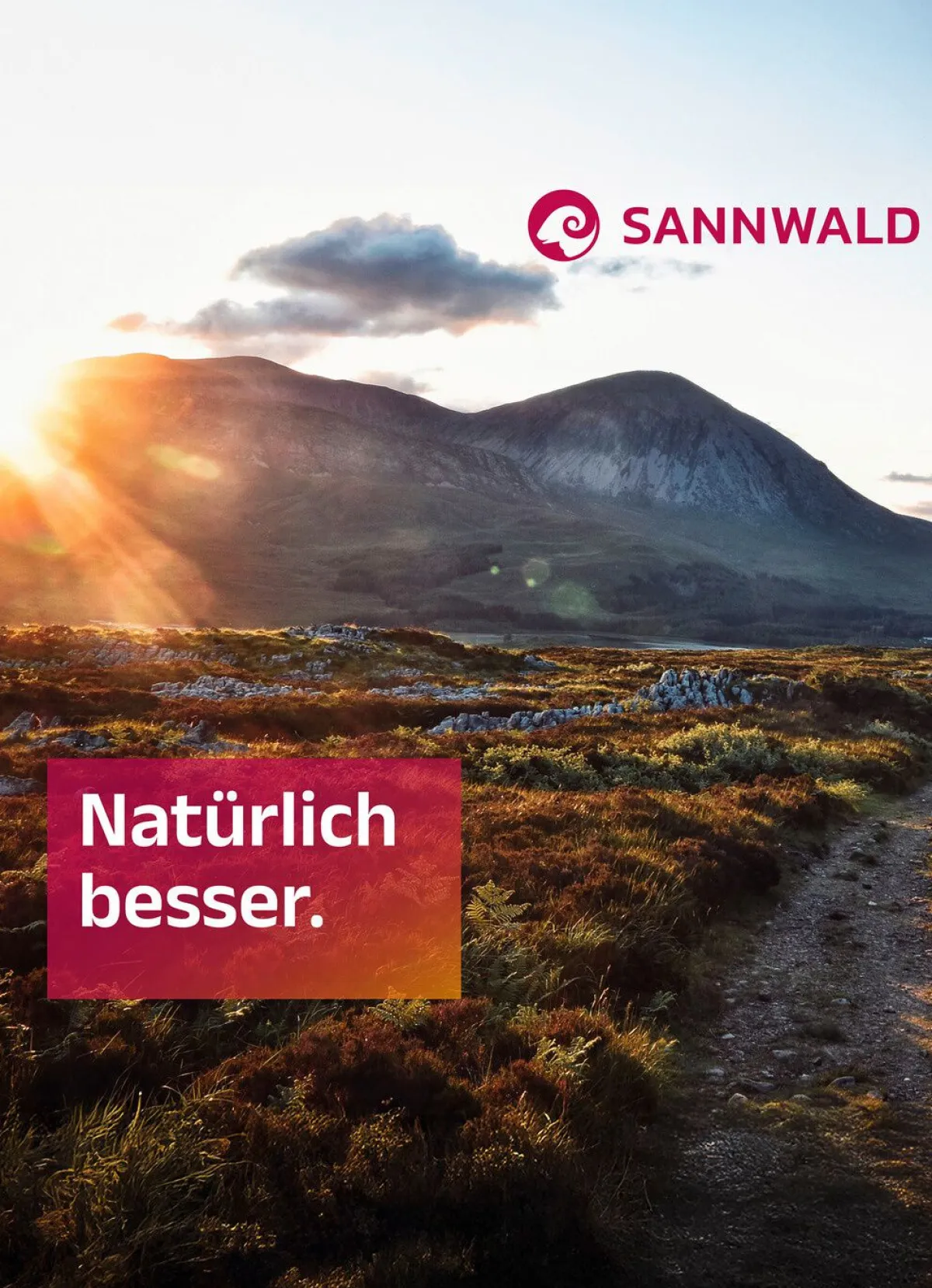Hot BADER Gänsedaunen-Bettwarenprogramm von Sannwald
