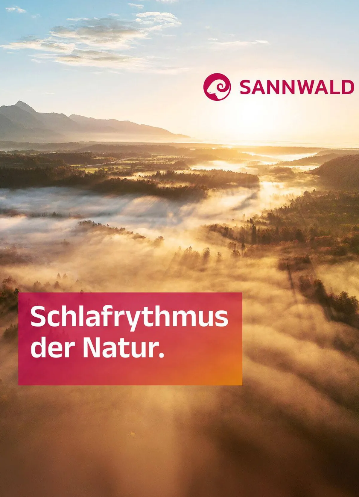 Hot BADER Gänsedaunen-Bettwarenprogramm von Sannwald