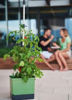 Best BADER Gusta Garden Tom Tomato mit Bewässerungssystem GRÜN