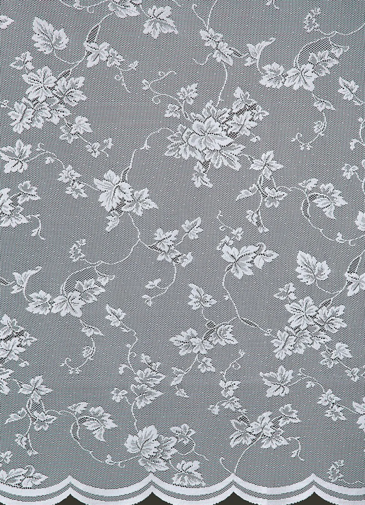 Clearance BADER Halbtransparenter Store mit gebogtem Abschluss WEISS