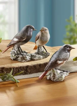 New BADER Hausrotschwanz - Vogel des Jahres 2025 BUNT