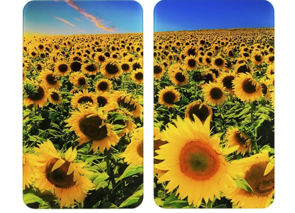 Best WENKO Herdabdeckplatten , 2er-Set SONNENBLUMEN