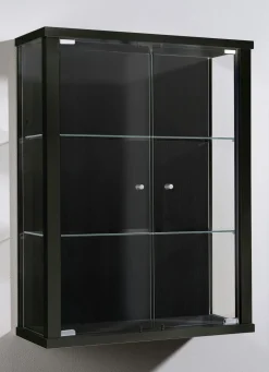 Outlet BADER Hängevitrine mit ESG-Sicherheitsglas SCHWARZ