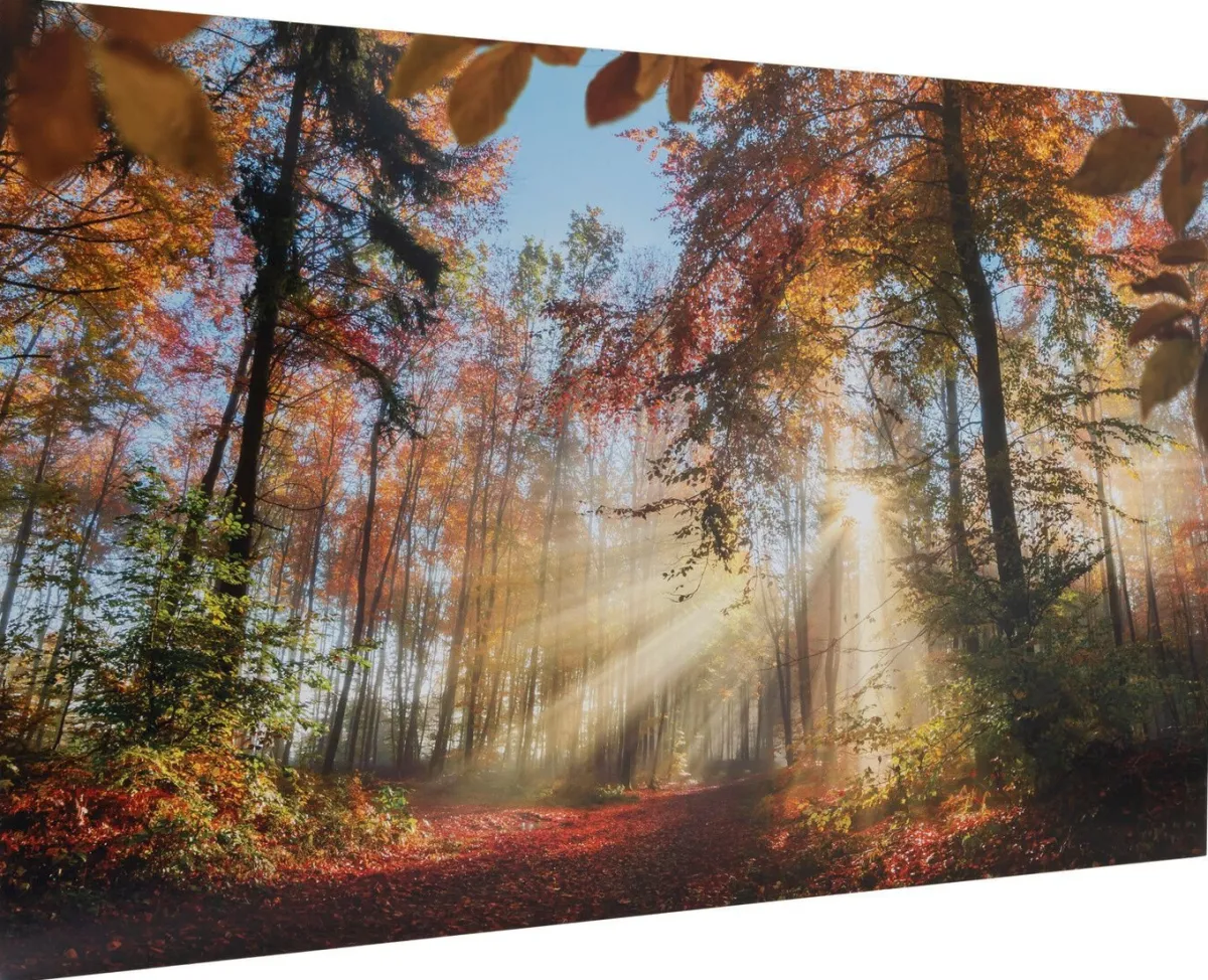Online BADER Hochwertige Kunstdruckreproduktion BUNT