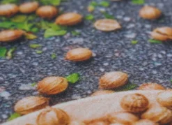 Clearance BADER Küchenläufer Gewürze,strapazierfähig BUNT