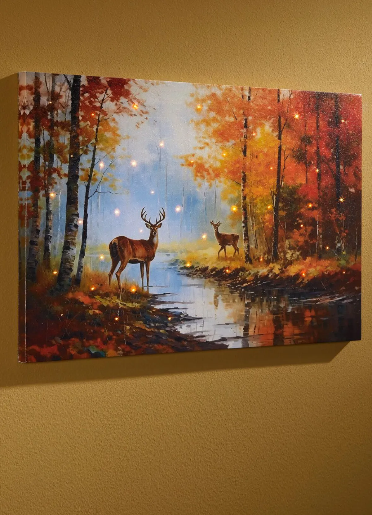 Sale BADER LED-Bild mit Fernbedienung BUNT