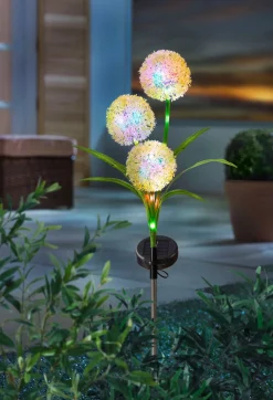 Sale BADER LED-Leuchte mit 3 Kugelblüten BUNT