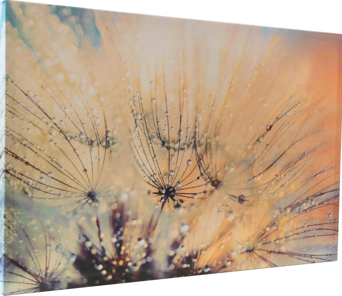 Discount BADER Leinwandbild mit Zertifikat BUNT