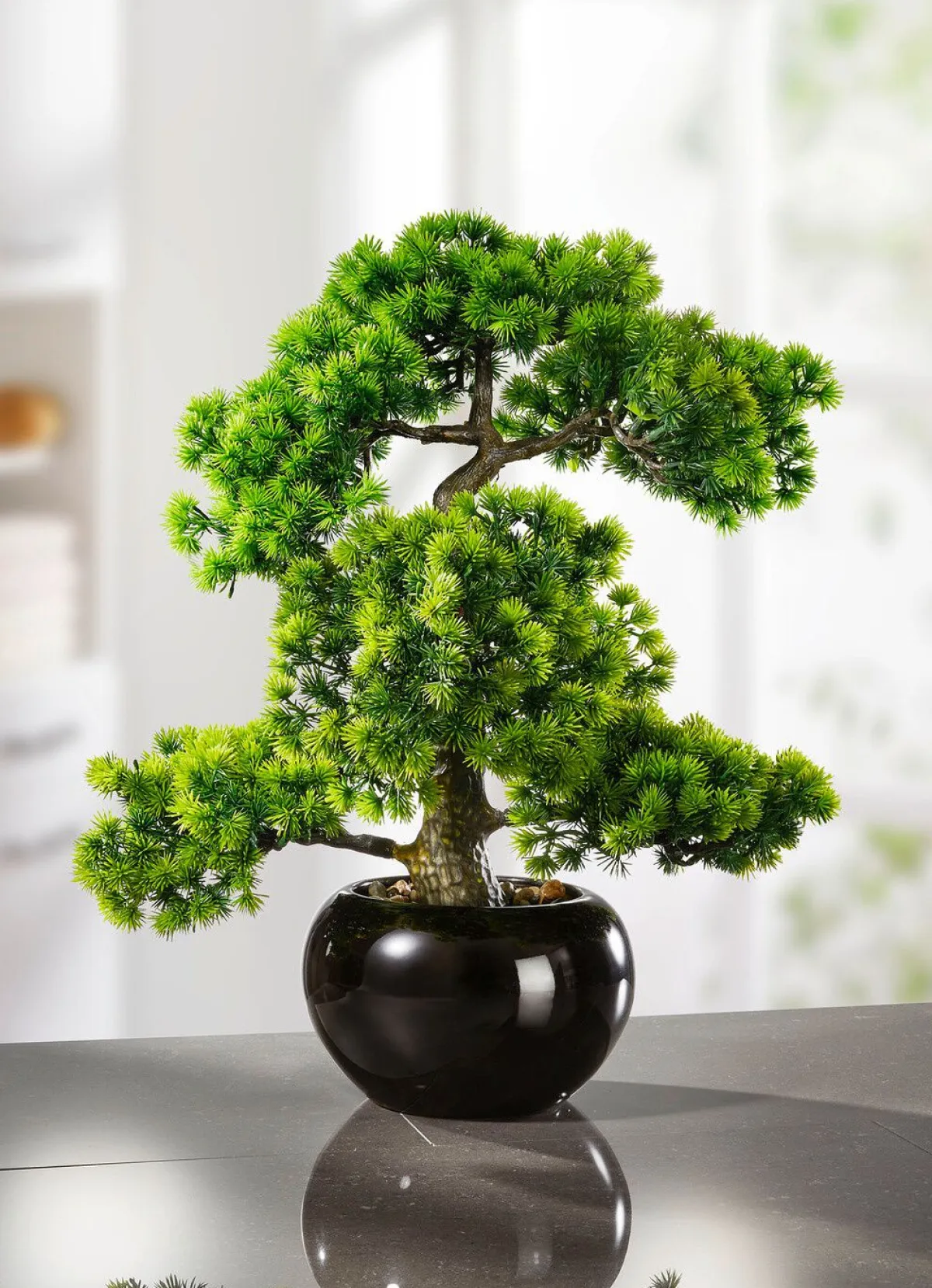 Online BADER Lärchen-Bonsai in schwarzem Keramiktopf GRÜN