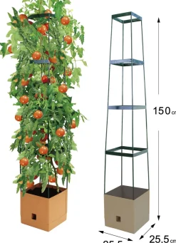 BADER MAXITOM Tomaten-Rankhilfe Komplett-Set ANTHRAZIT