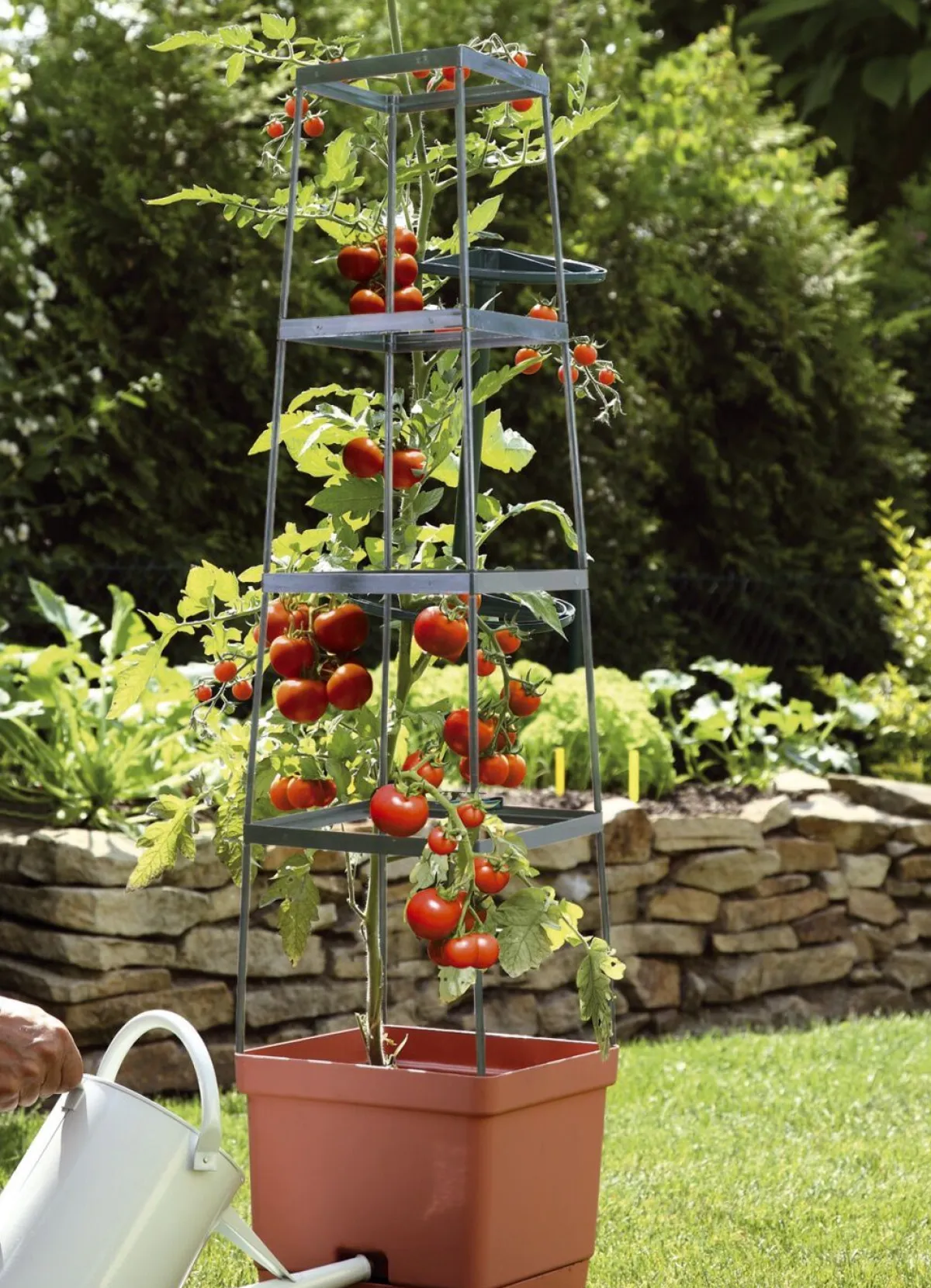 New BADER MAXITOM Tomaten-Rankhilfe Komplett-Set TERRA