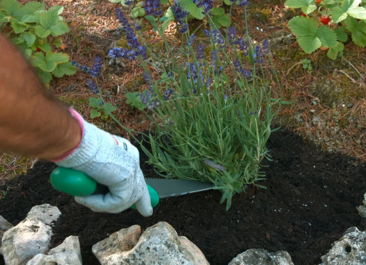 Clearance BADER Mehrzweck-Schaufel Root Digger GRAU-GRÜN-SCHWARZ