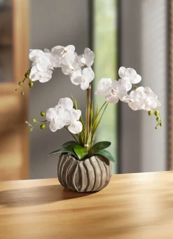 Outlet BADER Orchidee in silberfarbenen Topf WEISS-GRÜN-SILBER