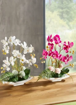 Discount BADER Orchideen-Arrangement in Schale WEISS