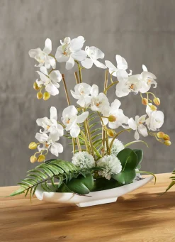Discount BADER Orchideen-Arrangement in Schale WEISS