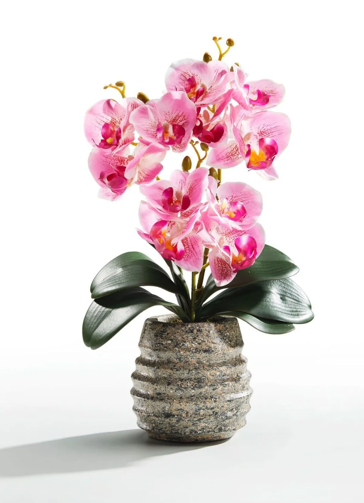Discount BADER Orchideen-Gesteck im Topf ROSA
