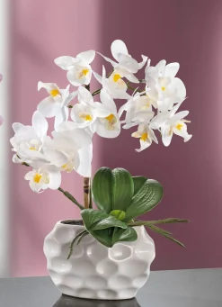 Discount BADER Orchideen-Gesteck in Keramikvase WEISS