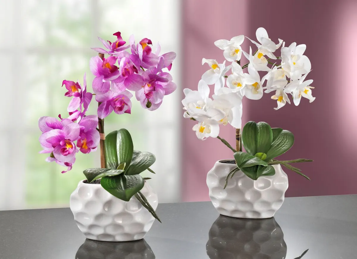 Discount BADER Orchideen-Gesteck in Keramikvase WEISS