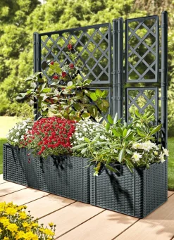 Hot BADER Pflanzkasten in moderner Rattan-Optik ANTHRAZIT
