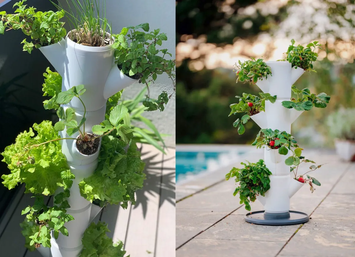 Sale BADER Pflanz-System Sissi Strawberry WEISS