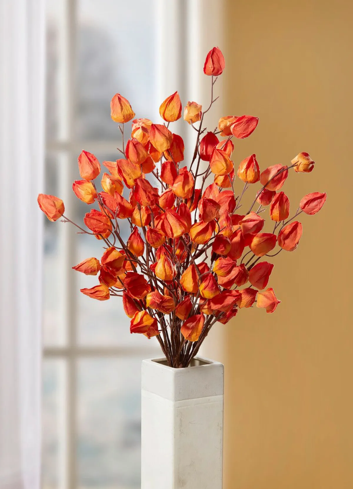 Discount BADER Physalis-Zweig ORANGE