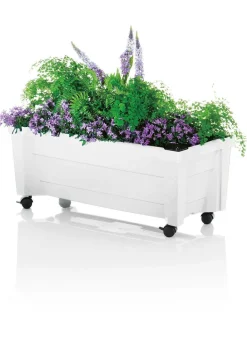 Outlet BADER Roll-Pflanzkasten mit Wasserstandsanzeige WEISS