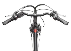 Online TELEFUNKEN Trekking-E-Bike XT485 von ANTHRAZIT