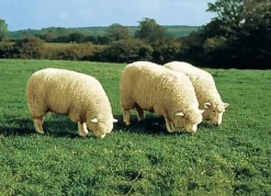 Hot BADER Vorleger aus echtem Merino-Lammfell BEIGE